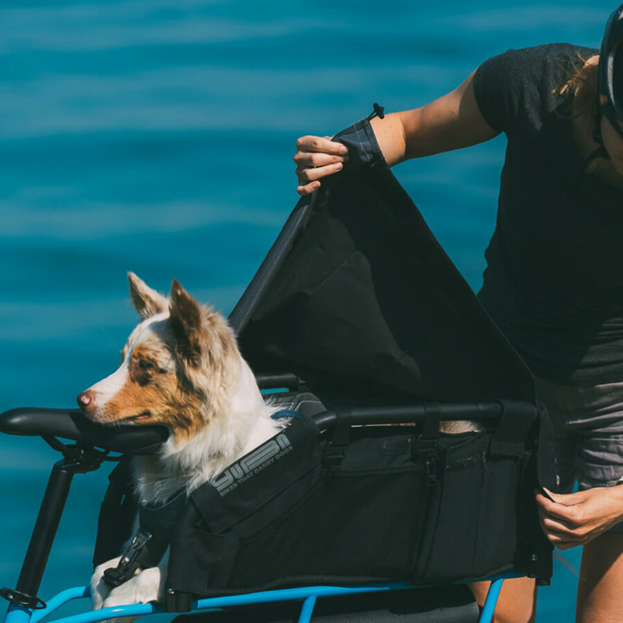 Yuba bikes: Wooftop Add-on with cover on dog
